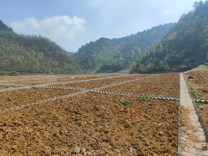 甕安縣映山紅社區(qū)“微田園”項(xiàng)目_副本.jpg