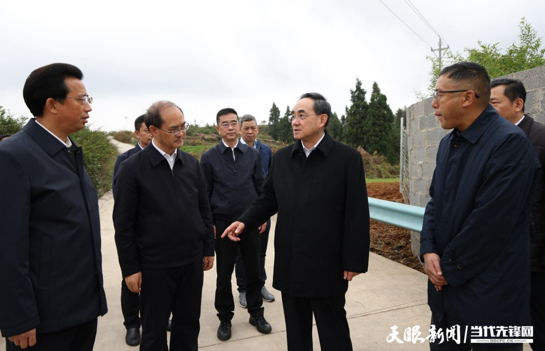 圖為徐麟在盤州市兩河街道花家莊村，了解當?shù)乩暹\處置情況。.jpg